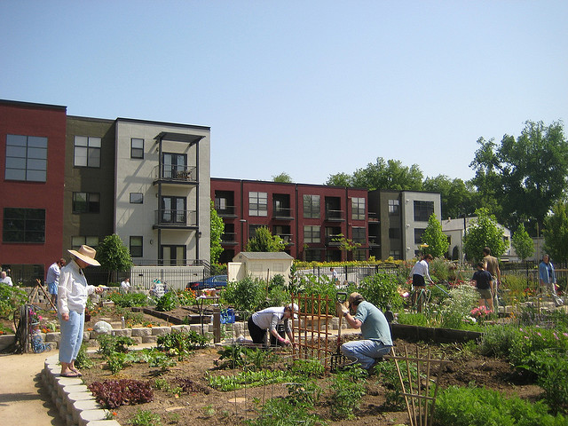 Fremont Community Garden